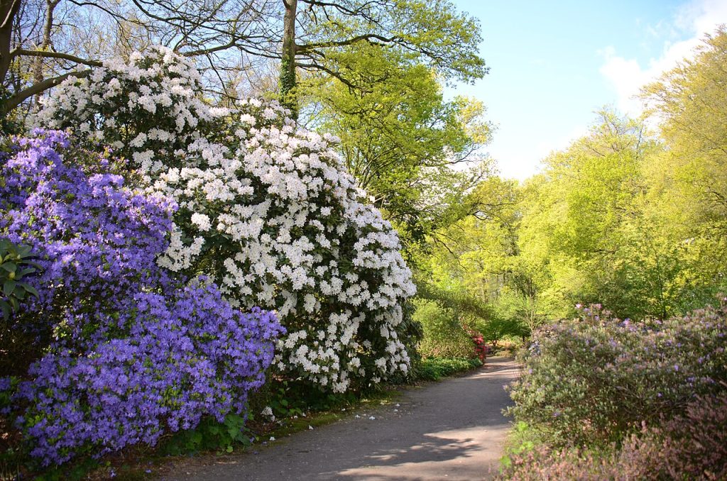 Uit Wageningen
