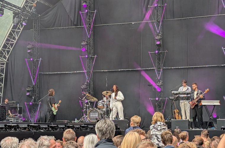 Bevrijdingsfestival Wageningen: feestende bezoekers genieten van muziek, eten en cultuur op het stadsfestival