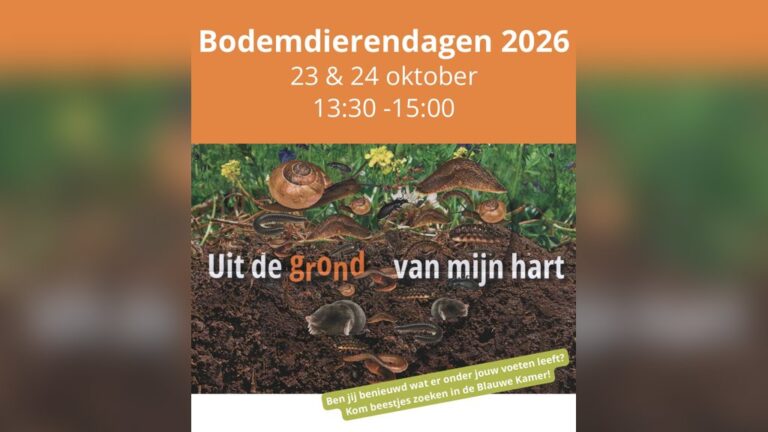 Kom jij ook beestjes zoeken in de blauwe kamer? — Natuur in Wageningen