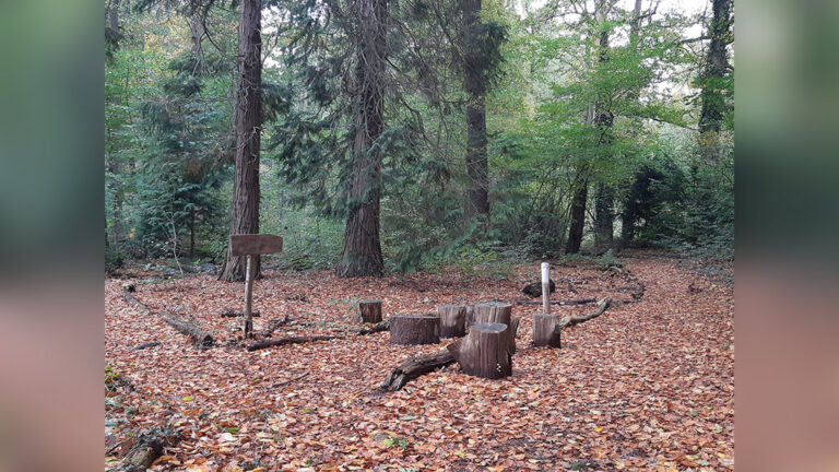 Vijftig tinten herfst in Arboretum Oostereng — Natuur in Wageningen